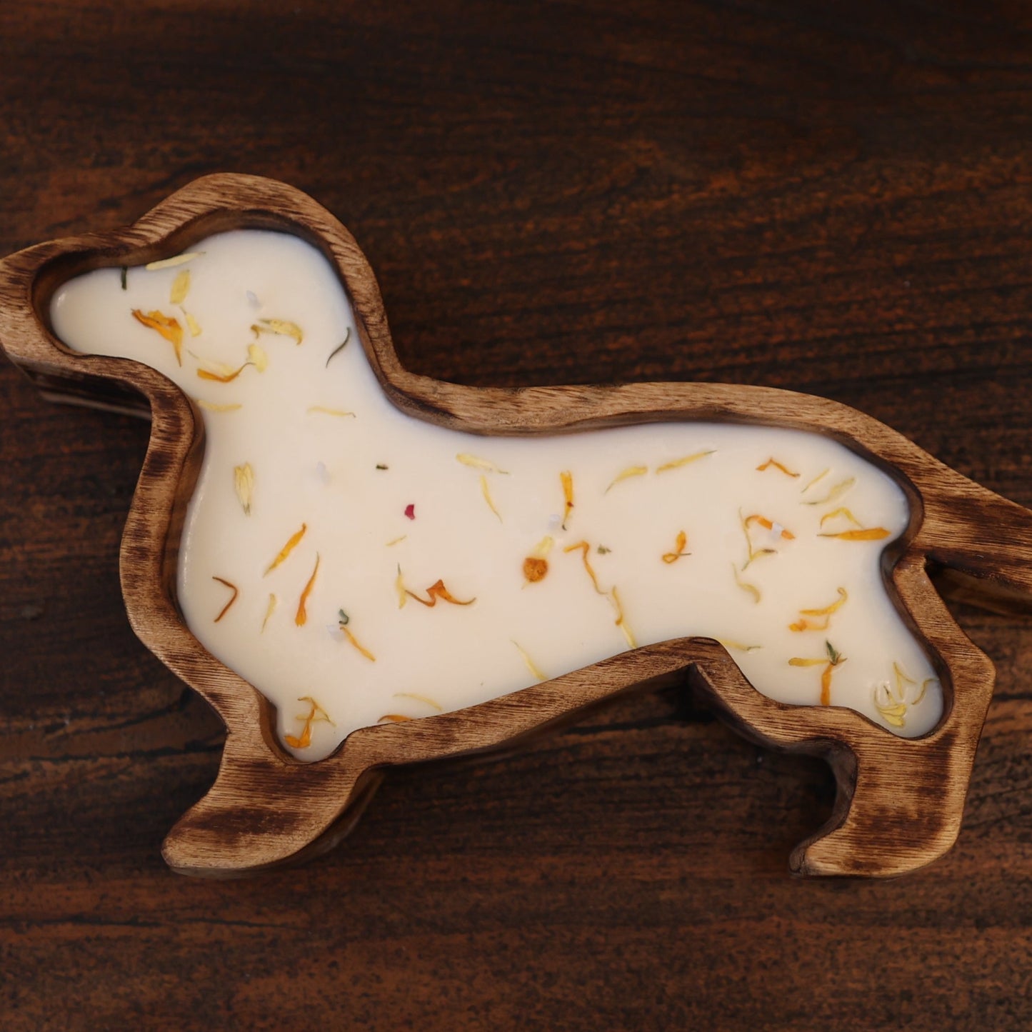 Dachshund Doughbowl Candle